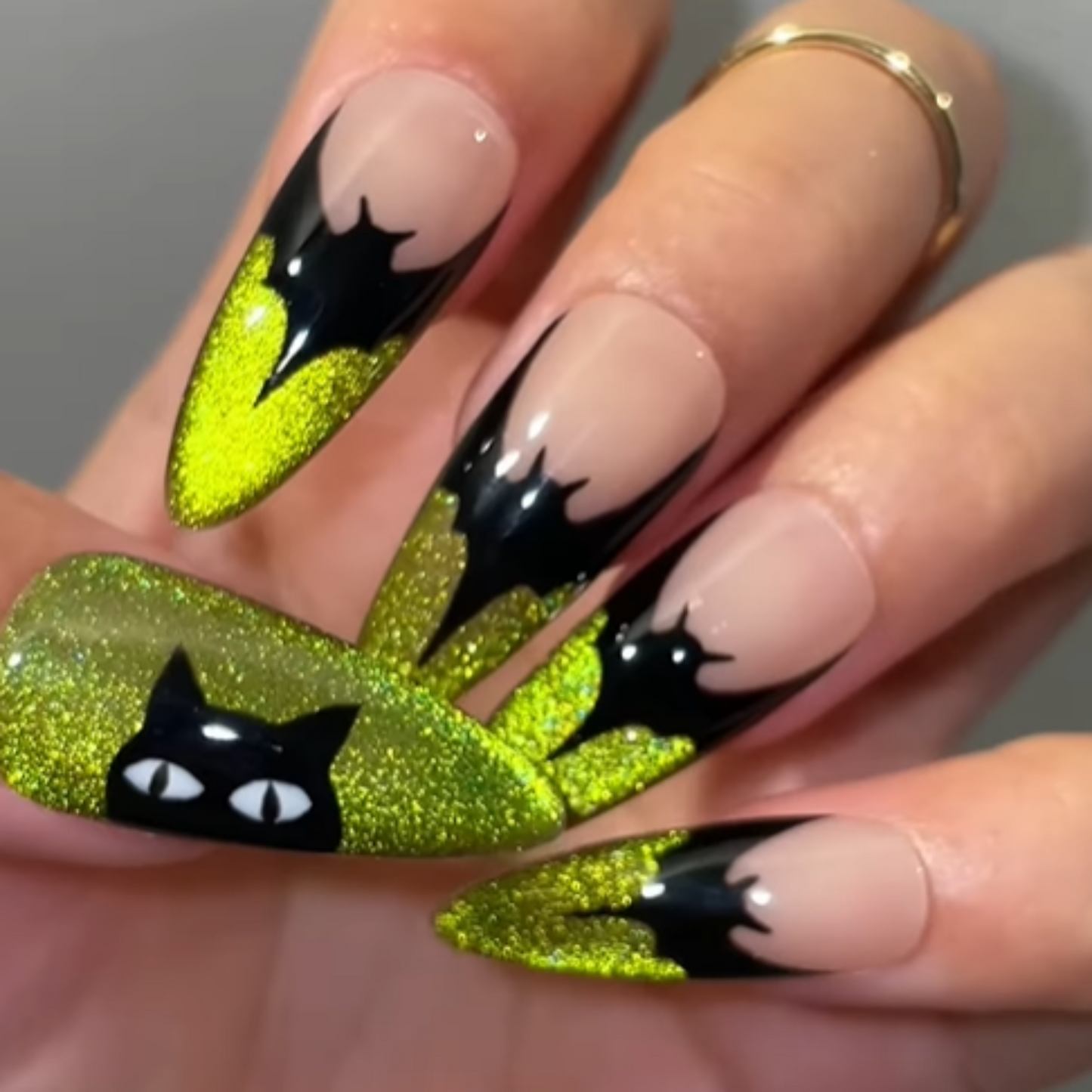 Cat & Bat