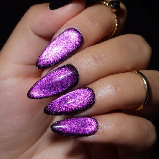 Midnight Orchid