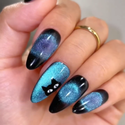 Black Hole