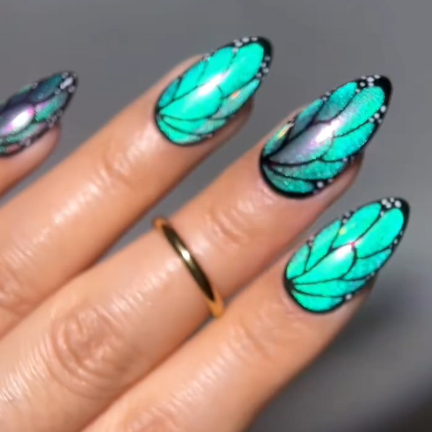 Butterfly Wings