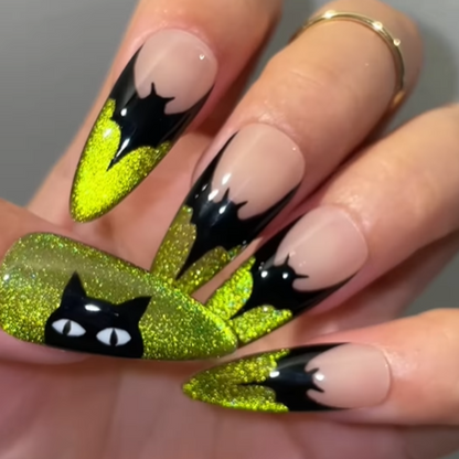 Cat & Bat