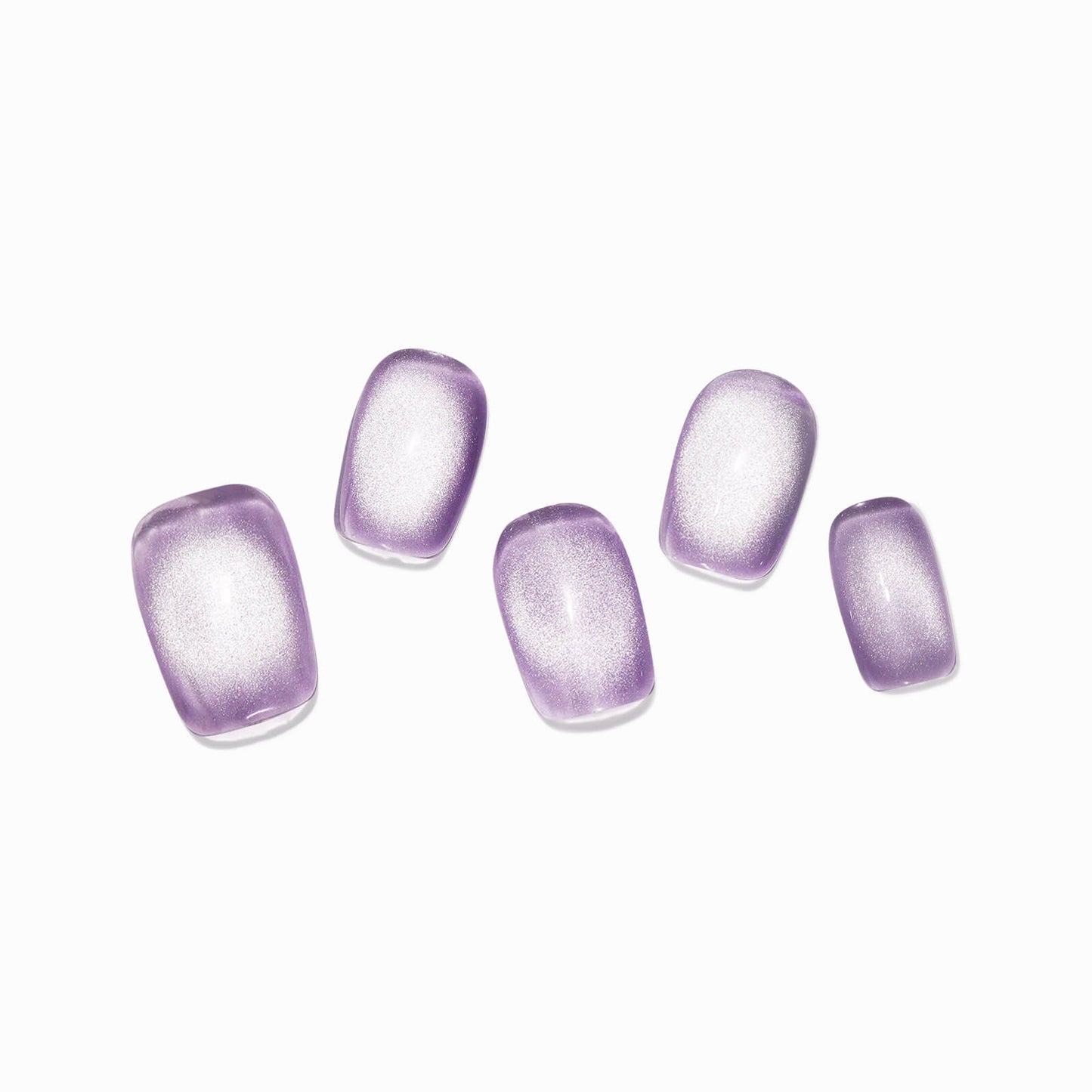 Blooming Lavender
