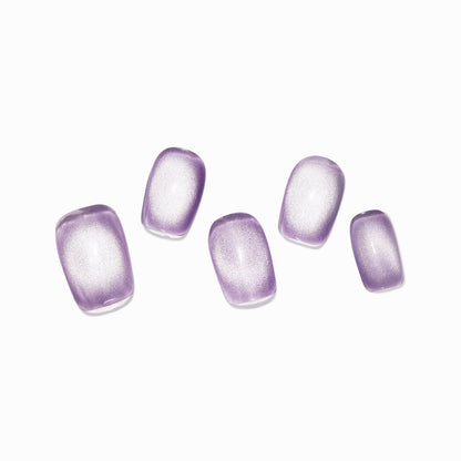 Blooming Lavender